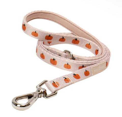 Dog Leashes