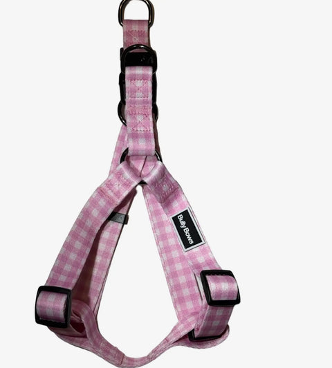 Bully Bows Harnesses & Leashes
