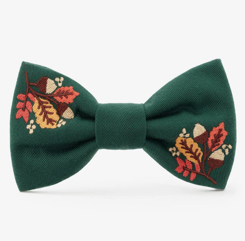 The Foggy Dog Holiday Collar Accessories