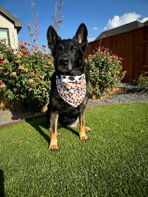 Urban Pet Bandanas