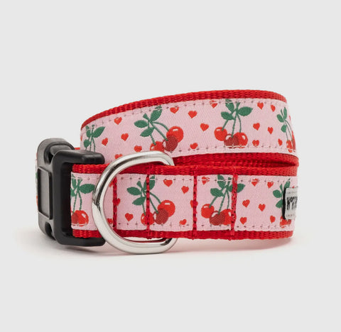 The Worthy Dog Collar