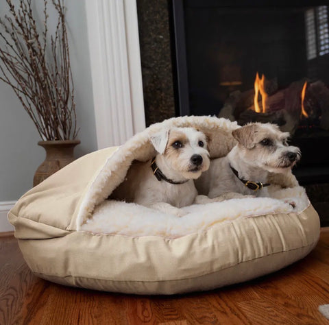 Snoozer Dog Beds