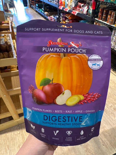 Grandma Lucy’s Pumpkin Pouch