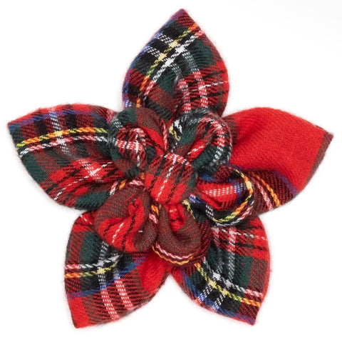Collar Bows & Accessories