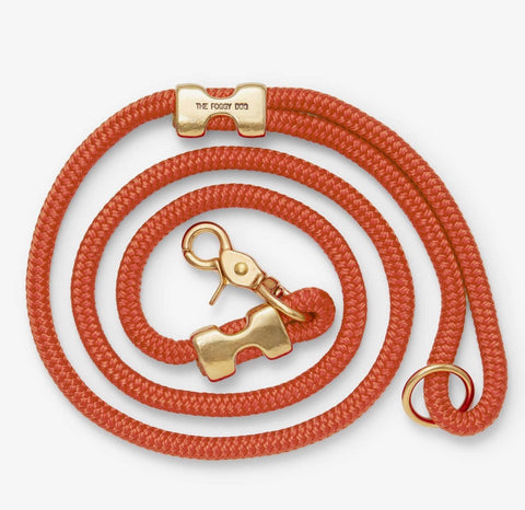 Foggy Dog Leash