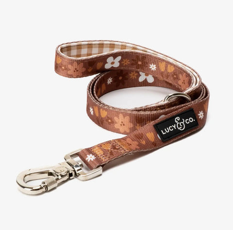 Dog Leashes