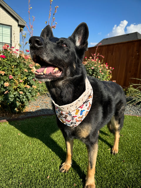 Urban Pet Bandanas