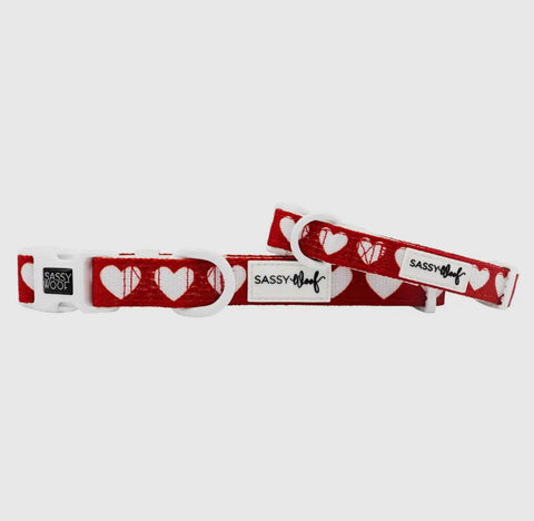 Sassy Woof Fabric Collar