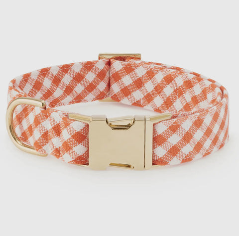 Foggy Dog Holiday Collar