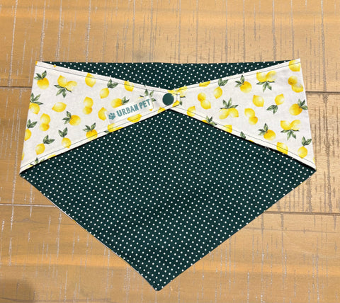 Urban Pet Bandanas Medium