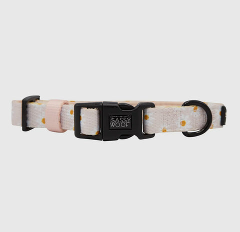 Sassy Woof Fabric Collar