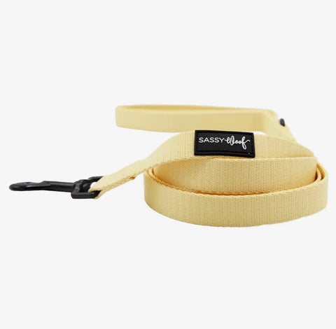 Sassy Woof Fabric Leash