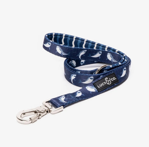Dog Leashes