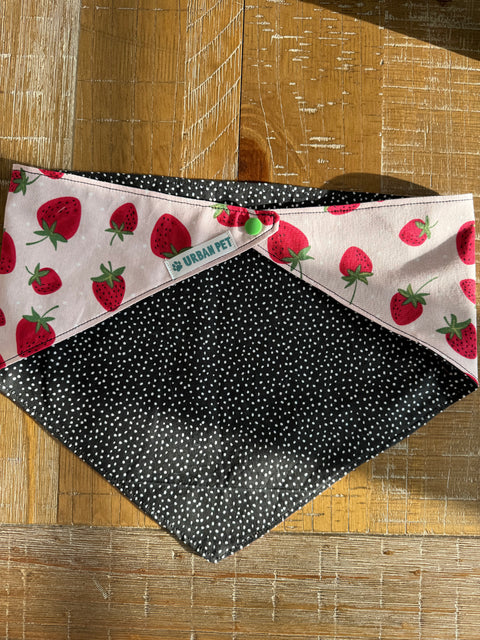 Urban Pet Bandanas Large