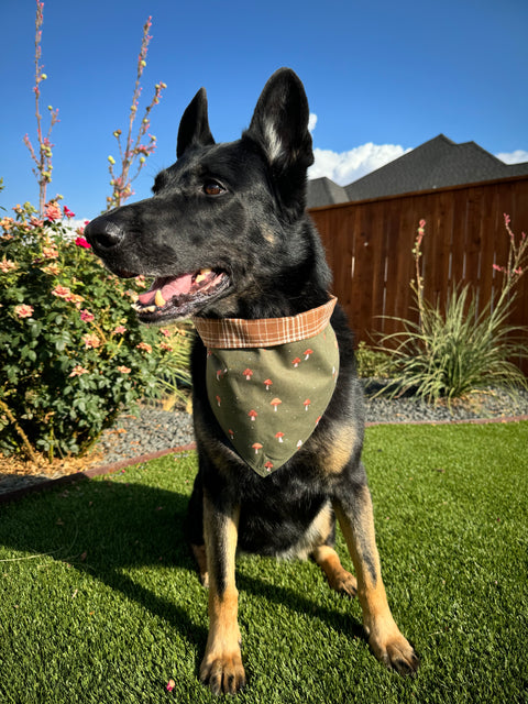 Urban Pet Bandanas