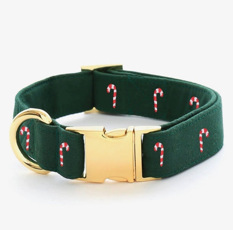 Foggy Dog Holiday Collar