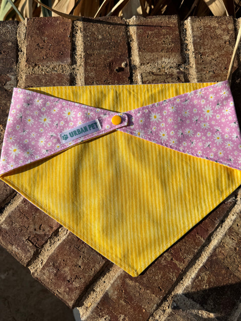 Urban Pet Bandanas Large