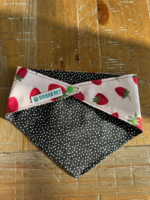 Urban Pet Bandanas Small