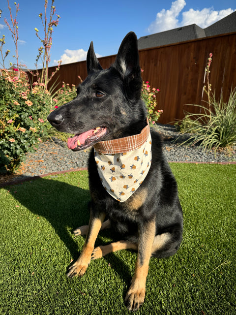 Urban Pet Bandanas