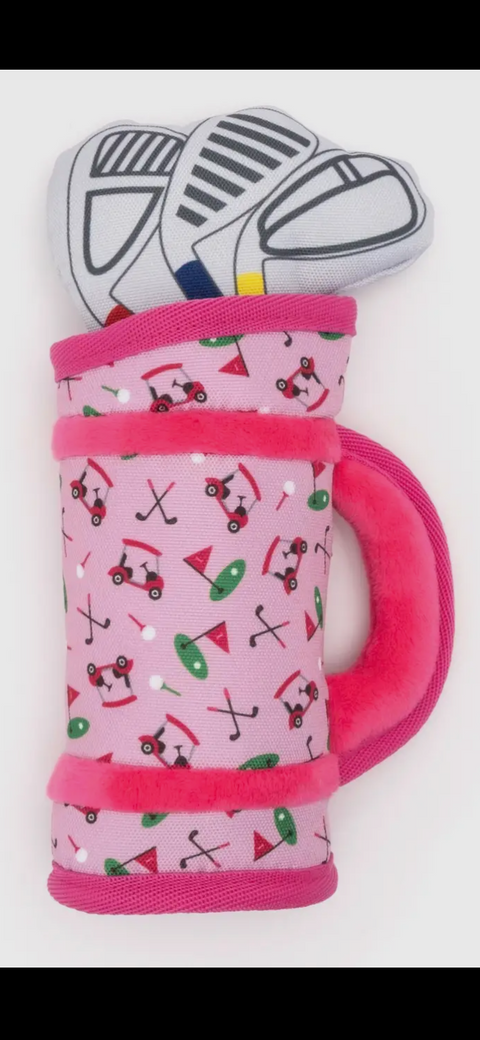 The Worthy Dog Toy