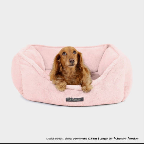NanDog Bed