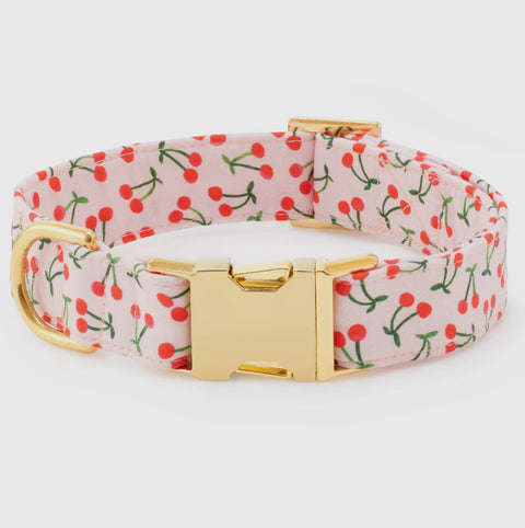 Foggy Dog Collar