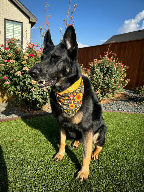 Urban Pet Bandanas