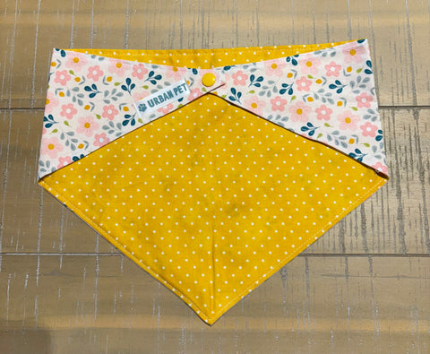 Urban Pet Bandanas Medium