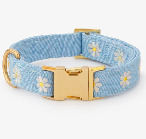 Foggy Dog Collar