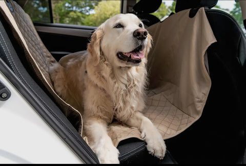 Car Hammock
