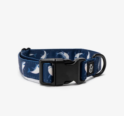 Dog Collars