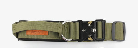 Bully Bows Harnesses & Leashes