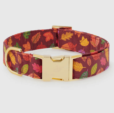 Foggy Dog Holiday Collar