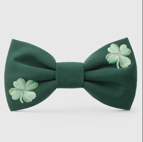 The Foggy Dog Bow Tie