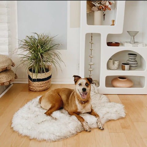 Faux Fur Orthopedic Curved Dog Bed