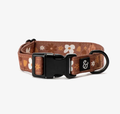 Dog Collars