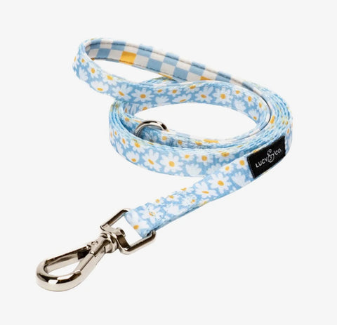 Dog Leashes