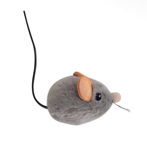 Cat Toys