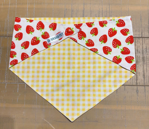Urban Pet Bandanas Large