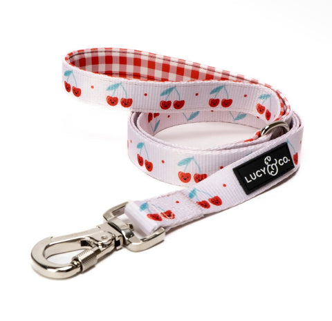 Dog Leashes