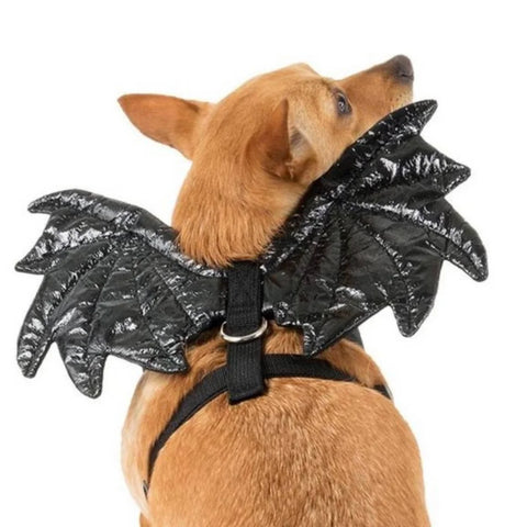 PupCrew Bat Harness