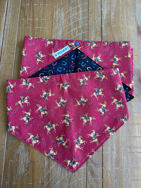 Urban Pet Bandanas Medium