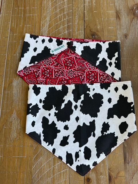 Urban Pet Bandanas Medium