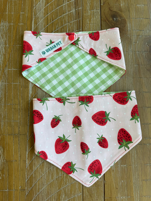 Urban Pet Bandanas Small