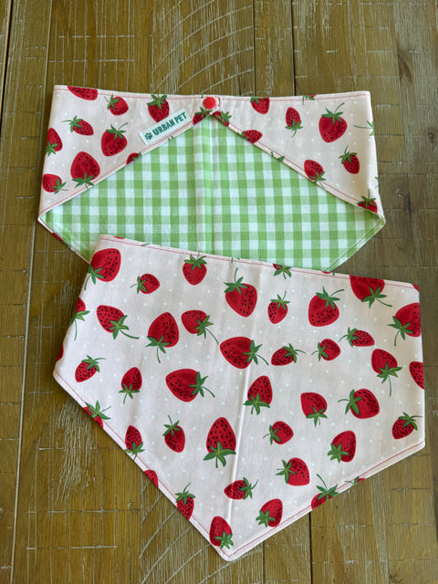 Urban Pet Bandanas Medium