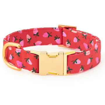 Foggy Dog Collar