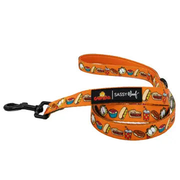 Sassy Woof Fabric Leash