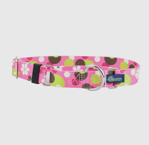 Collars & Leashes, 2Hounds Design
