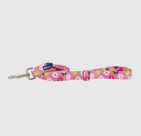 Collars & Leashes, 2Hounds Design