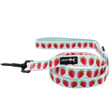 Sassy Woof Fabric Leash